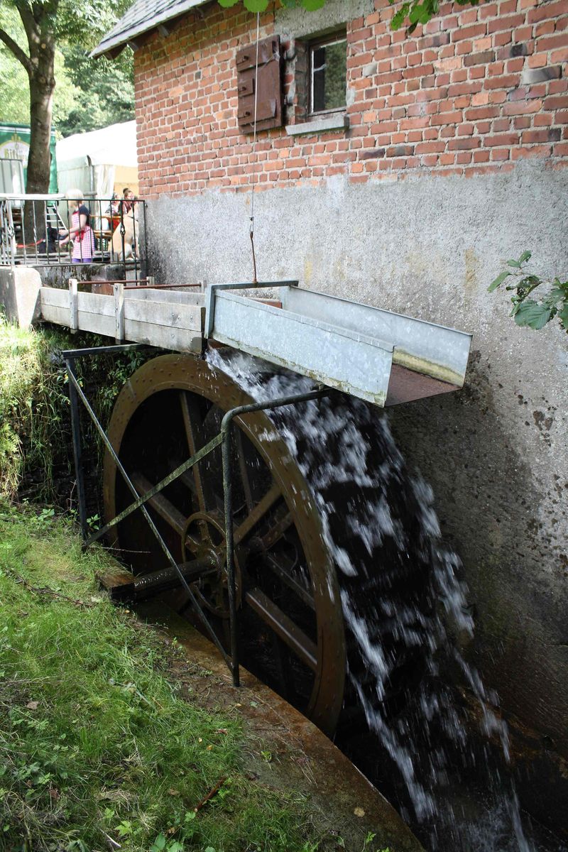 Saar Hunsrück Steig   16