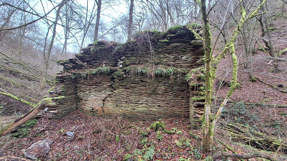 Mühlenruine an der Rauschenburg wihbzx