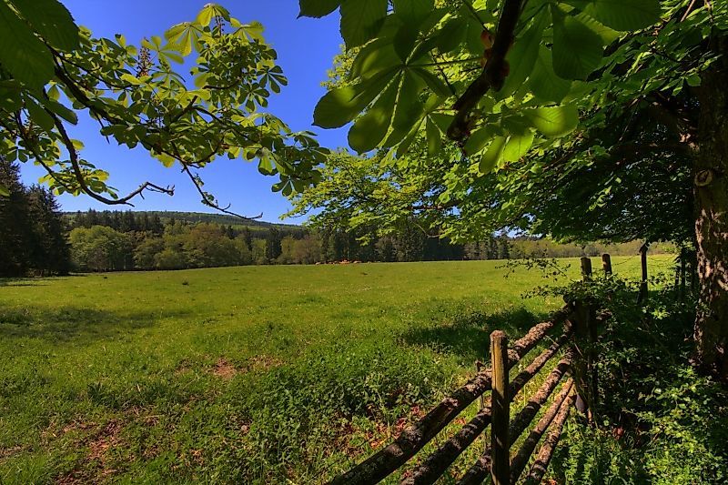 Soonwaldsteig   Gesamtstrecke wgdfv2