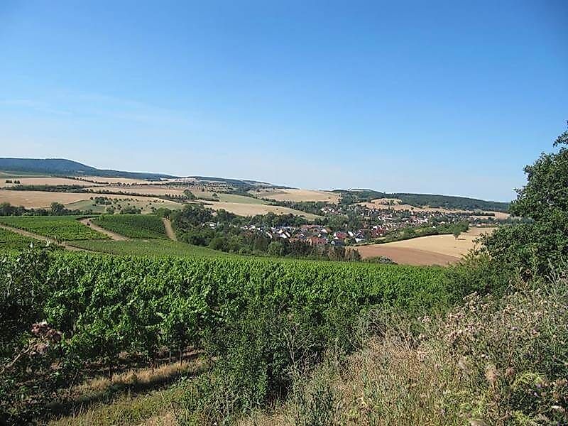 Rosengarten Rundweg Rüdesheim wg3oop