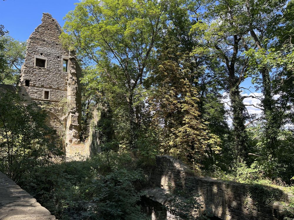 Klosterruine Disibodenberg we1ytt
