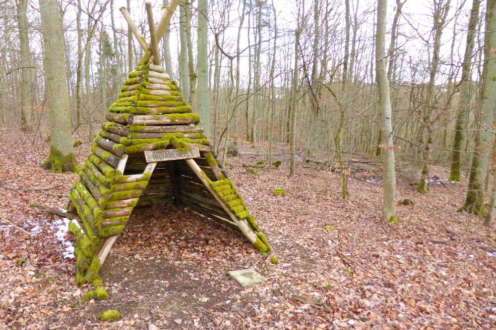 Soonwaldsteig   Zuweg Hennweiler 1 wd0py4