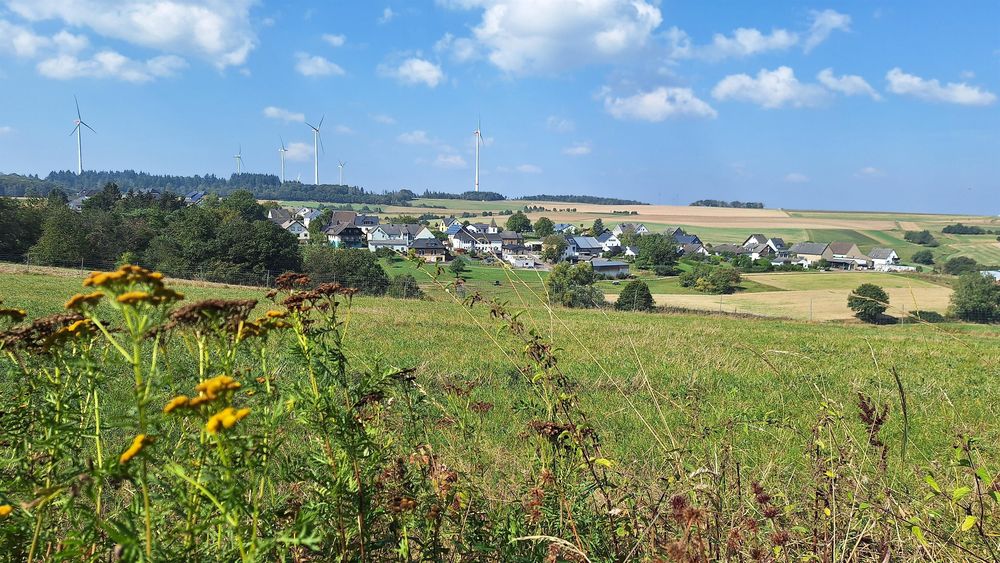 Ginsterberg in Birkheim wavkmo