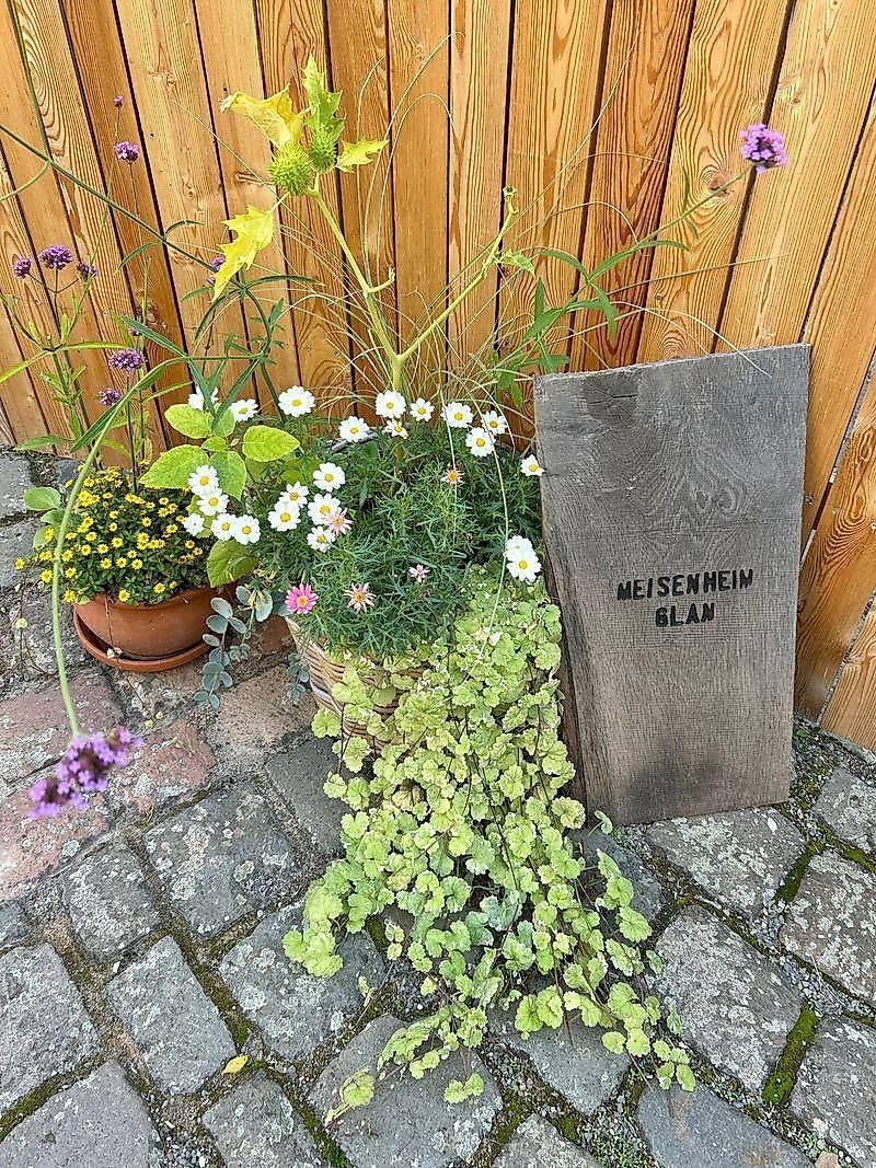 Ferienhaus Zeitmeise x9ztr8
