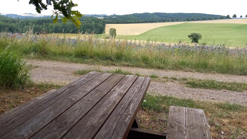 pois/picknickbank-an-der-xts-oberes-baybachtal-xcfc8