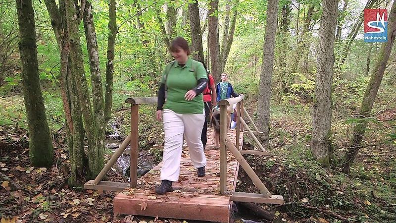 Nahesteig   Streckenwanderweg entlang der Oberen Nahe x9paeh