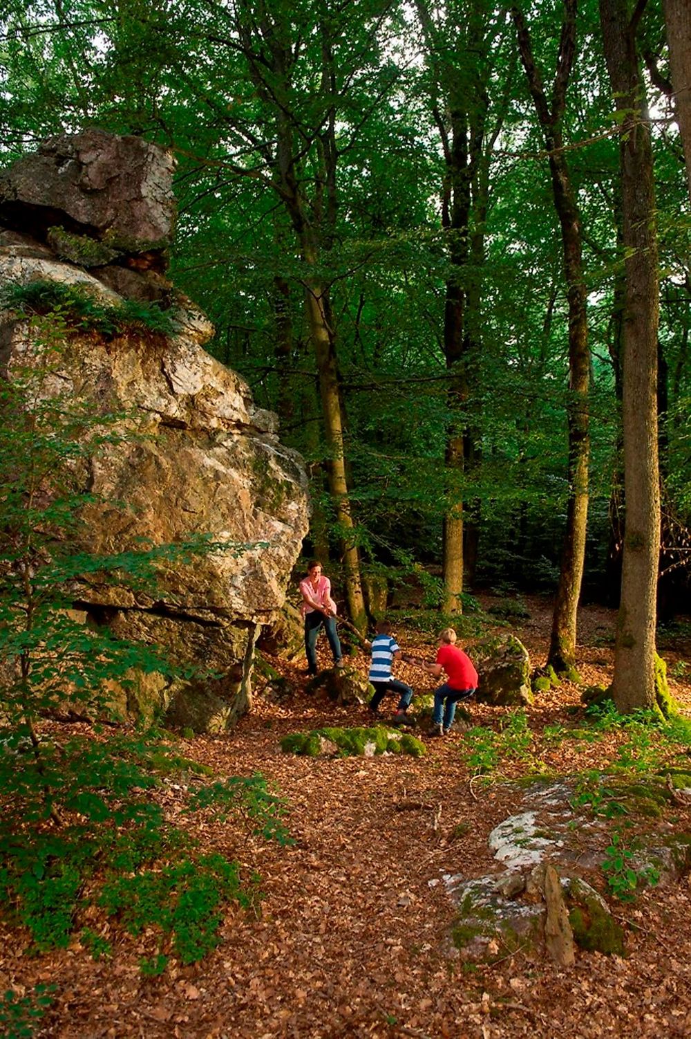 Heckelbüschfelsen   Quarzitformation im Henterner Wald x8uv7d