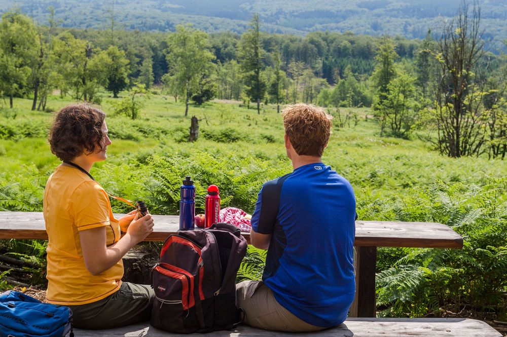 Nationalpark Traumschleife Börfinker Ochsentour x7vlld