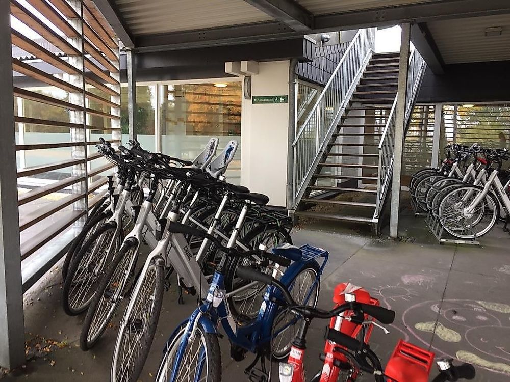 Fahrrad  und E Bike   Verleih x7rvif