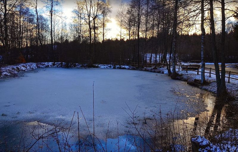 tochten/winterwandeling-bij-xmoorsteg-in-xthranenweier-7fe1