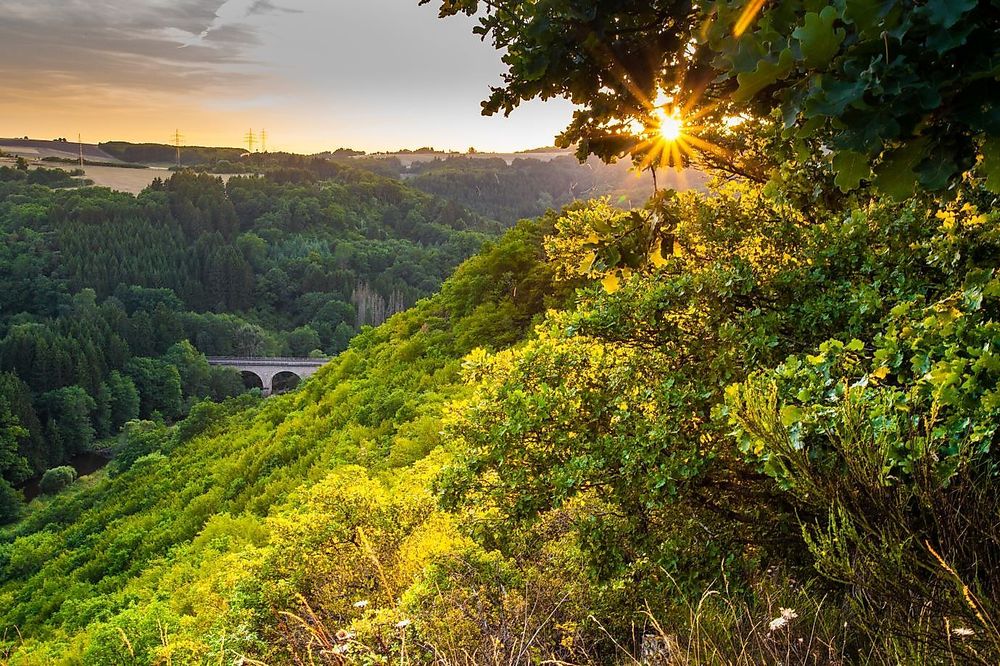 Nahesteig   Streckenwanderweg entlang der Oberen Nahe x4zpa1