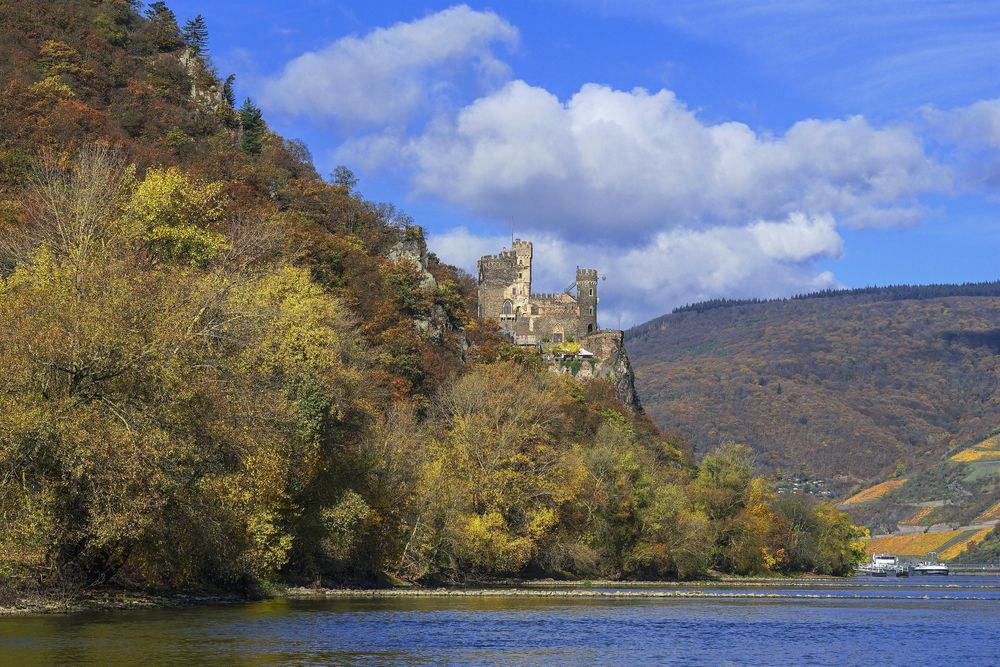 Burg Rheinstein vqonbi