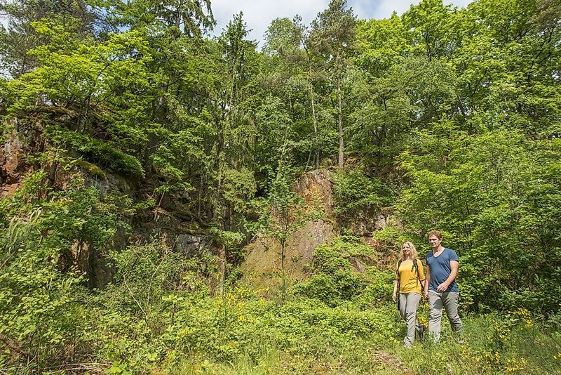 Traumschleife Steinhauerweg x31m8s