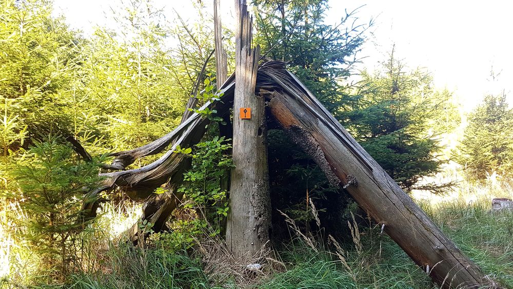 Damscheid Aldegundiswanderweg x1mogs