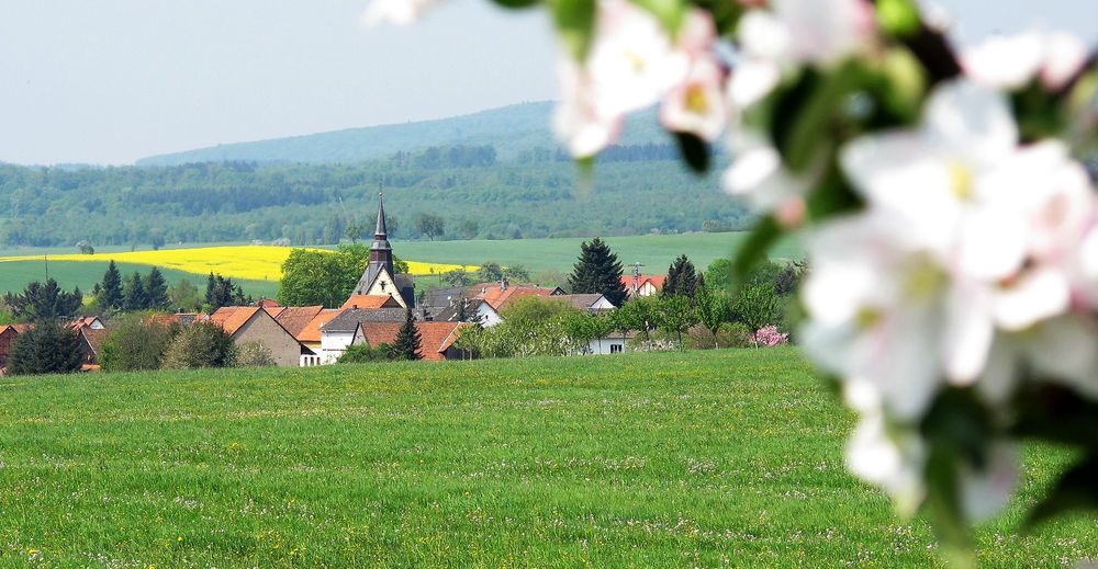 Gebroth im Naheland "Gebrother Obstweg" x08zj2