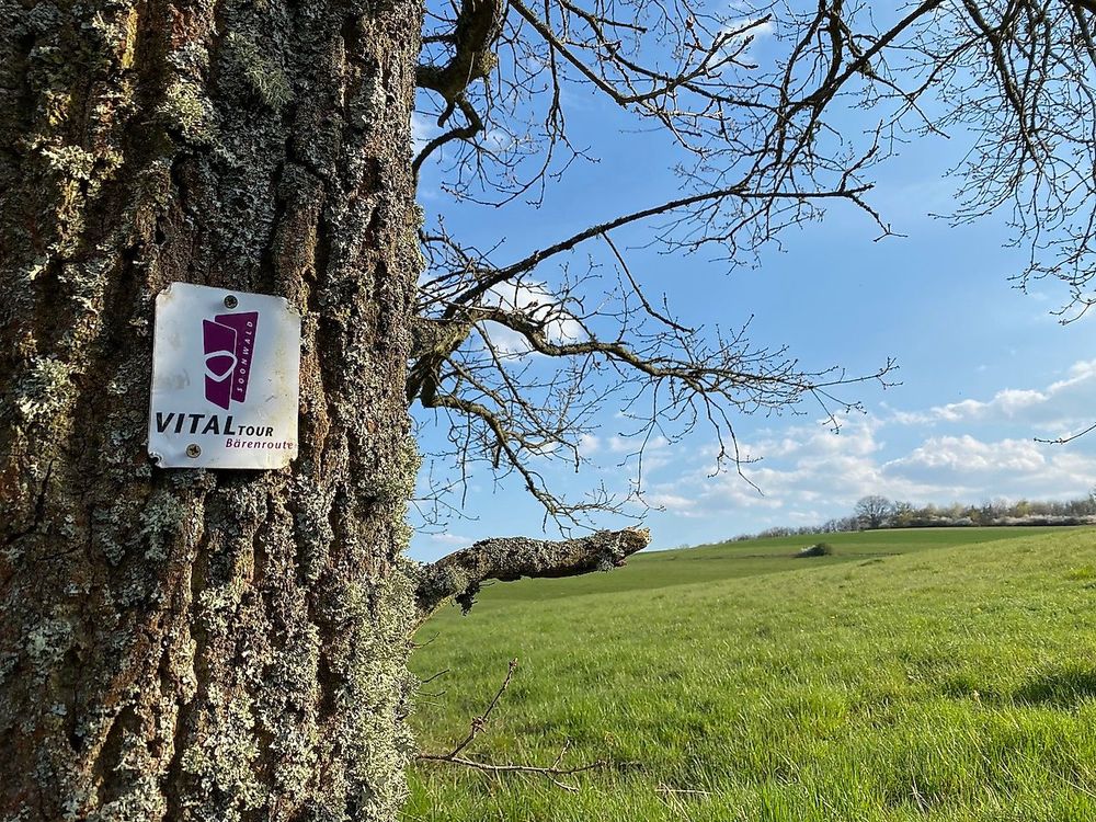 Vitaltour Bärenroute vlt28z
