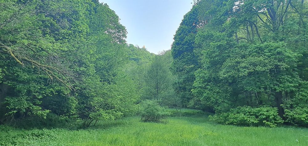 Picknickbank an der Roskerbrücke vlfx79