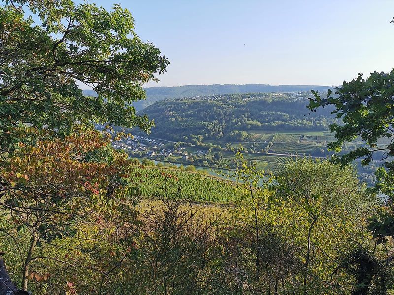 tochten/pissamann-rondwandeling-zell-xmerl-4dc8