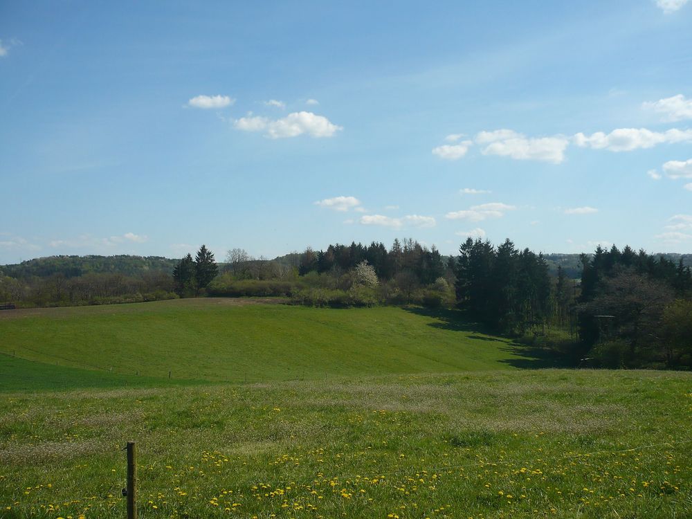 "Odels Uwe" Wanderweg Kronweiler vl08l0