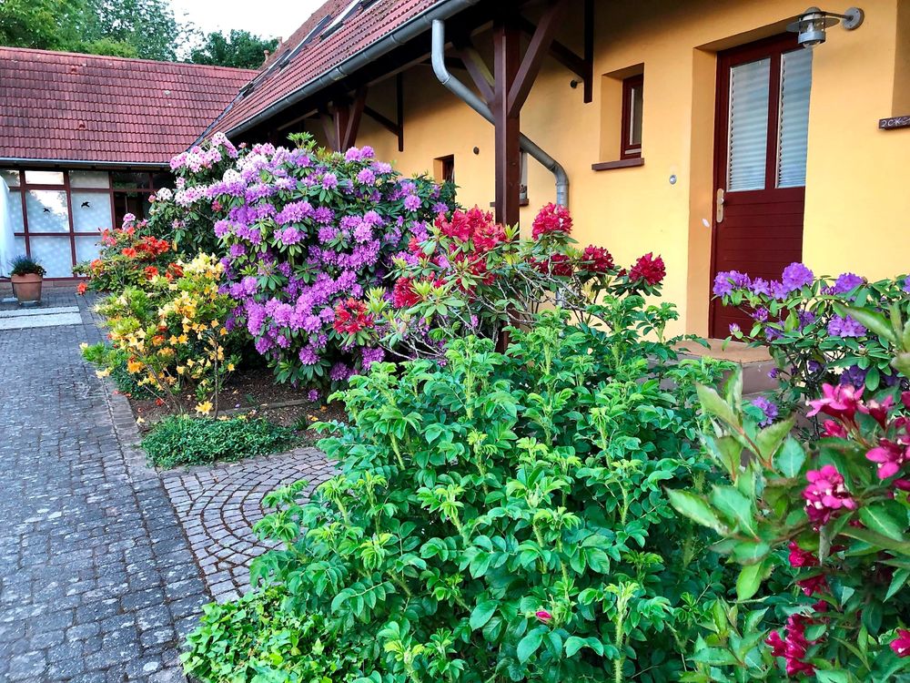 "Casa WaBik" vi1mhe