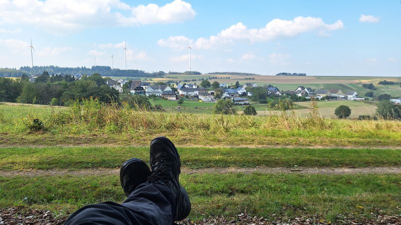 Ginsterberg in Birkheim venw83