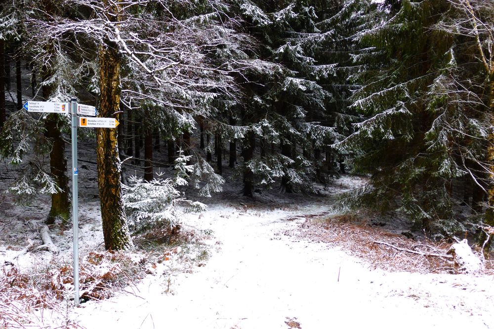 Soonwaldsteig   Zuweg Rheinböllen/Dichtelbach vdmw0k