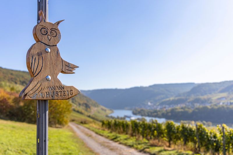 tochten/uhu-xsteig-briedel-ecef