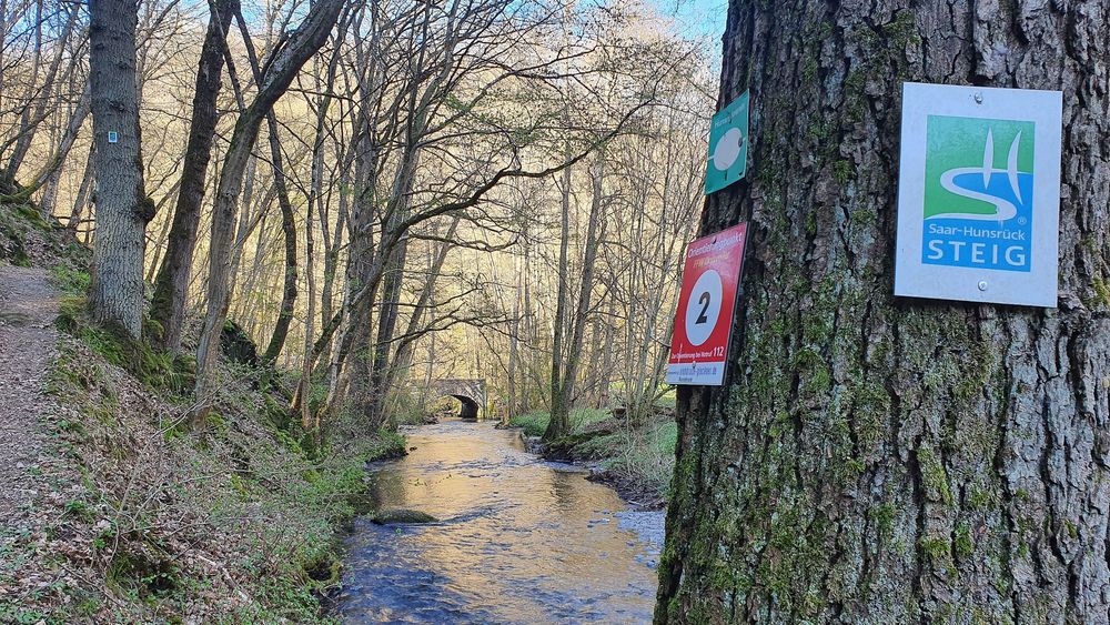Traumschleifen Quartett im Baybachtal vaf3ib