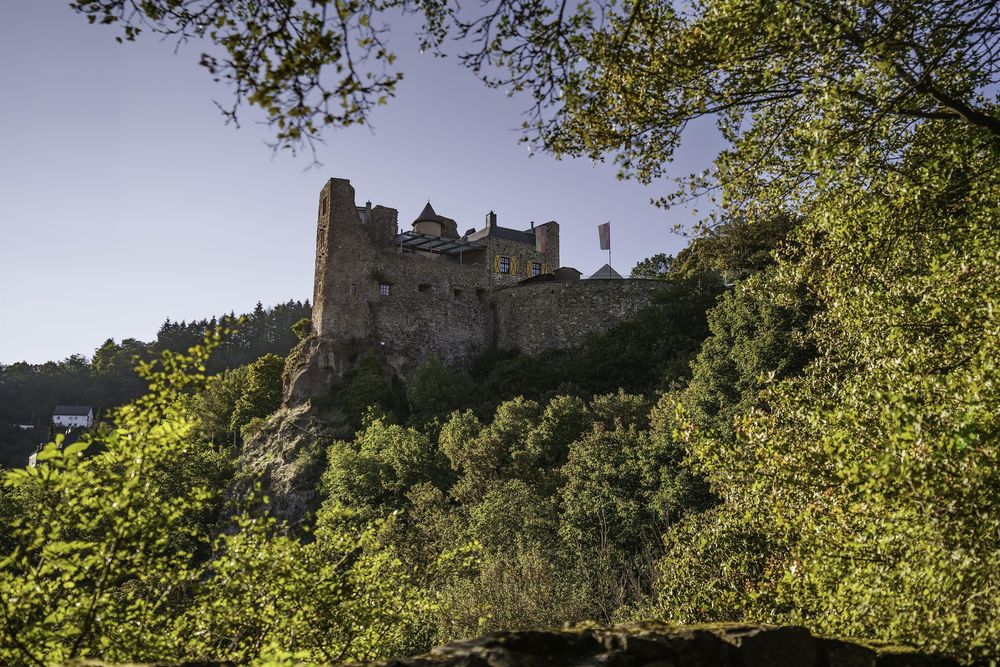 Schloss Oberstein uwzlz1