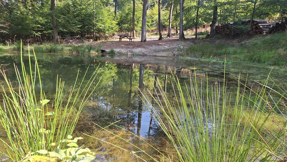 Grenzgängerweg Birkheim w9qggk