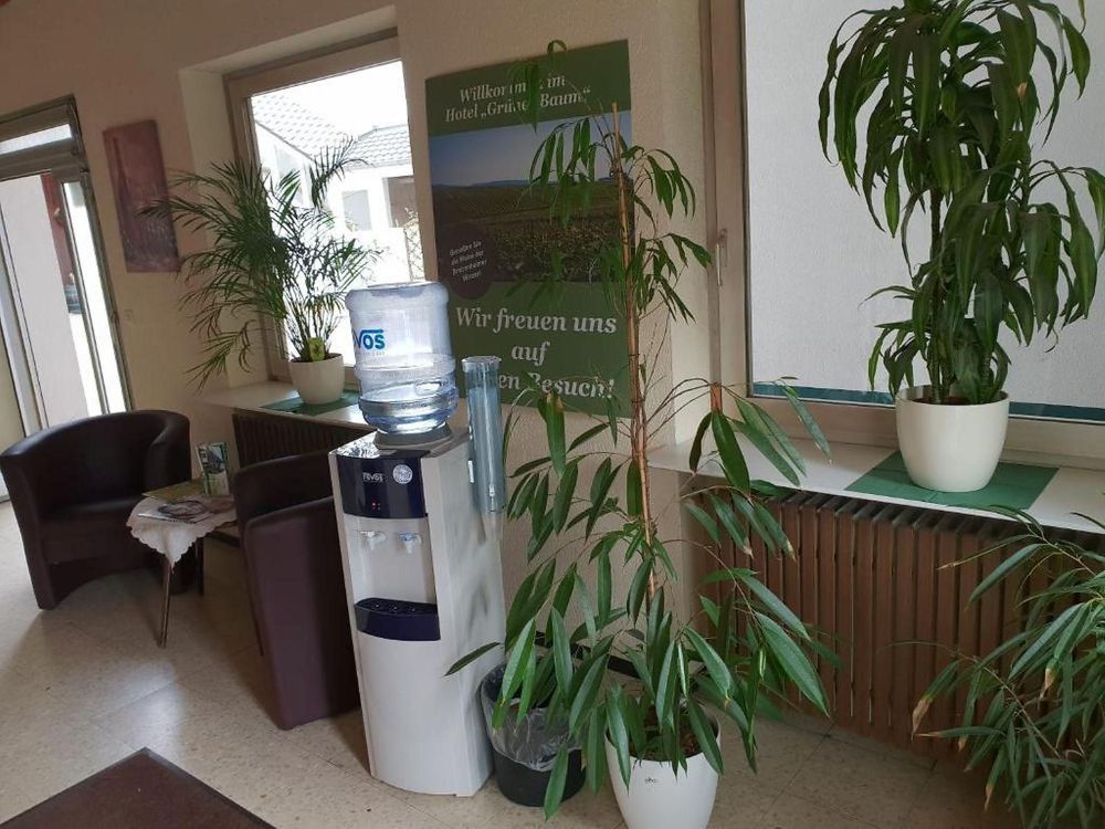 Hotel "Grüner Baum" w9py4f