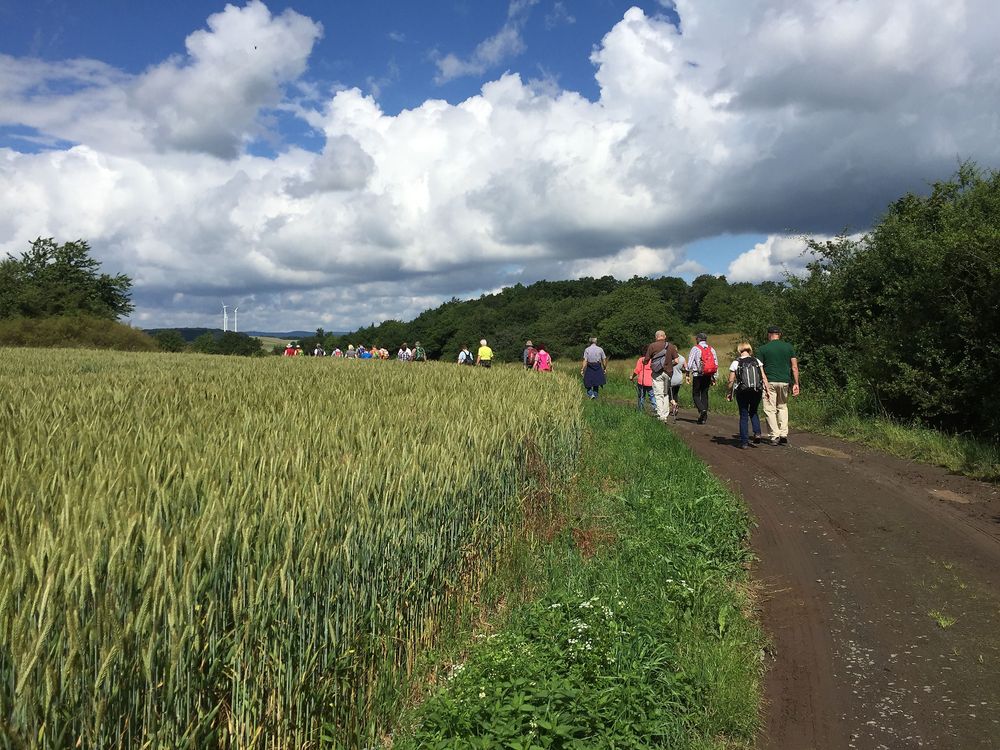 Themenwanderweg "Auf alten Wegen in eine vergangene Zeit" Reichenbach w7ws19