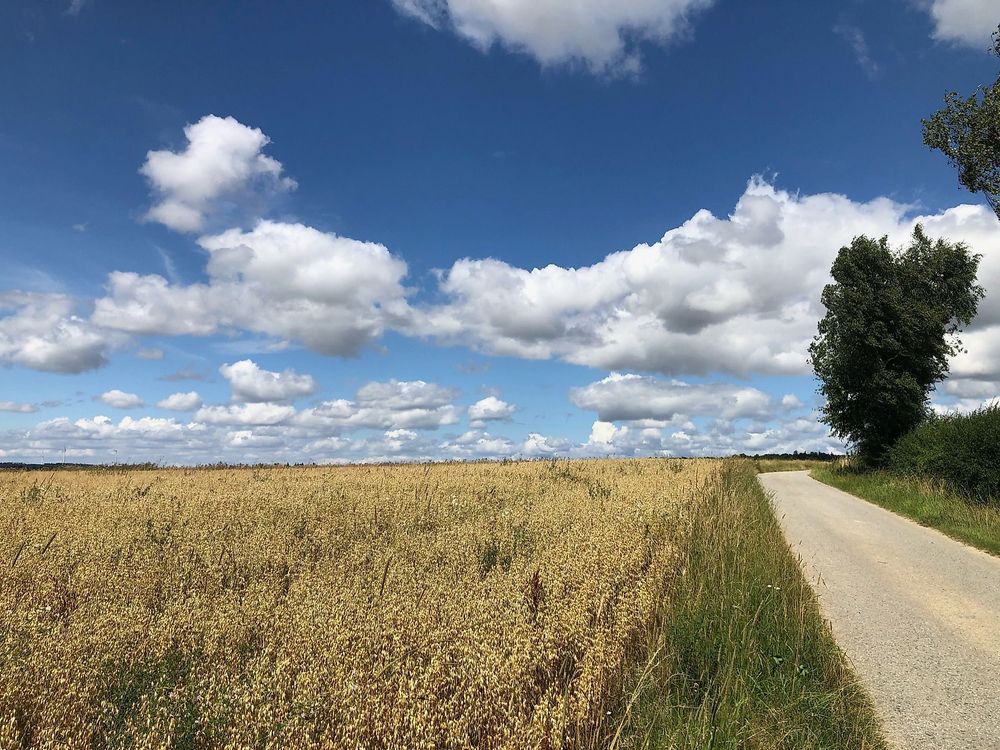Kirchweg am Simmerbach   Fahrradroute (Simmern   Ravengiersburg   Simmern) w95sh6