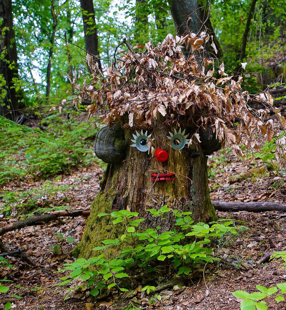 Nahequelle mit Freizeitgebiet in Selbach w7hxz1