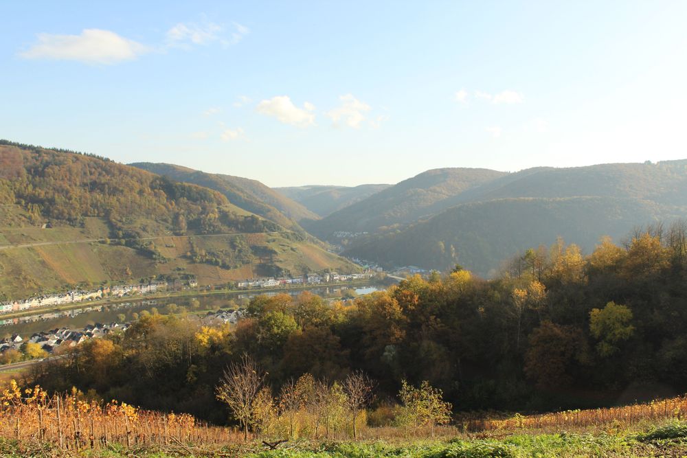 "Horgar" Pfad rund um den Zeller Hamm utcjll