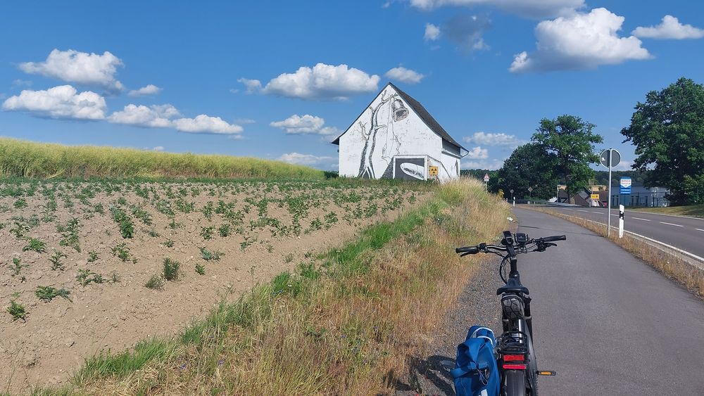 Pfalzfeld   Hängeseilbrücke Geierlay ushwud