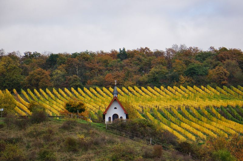touren/kapellenweg-windesheim-bdaf