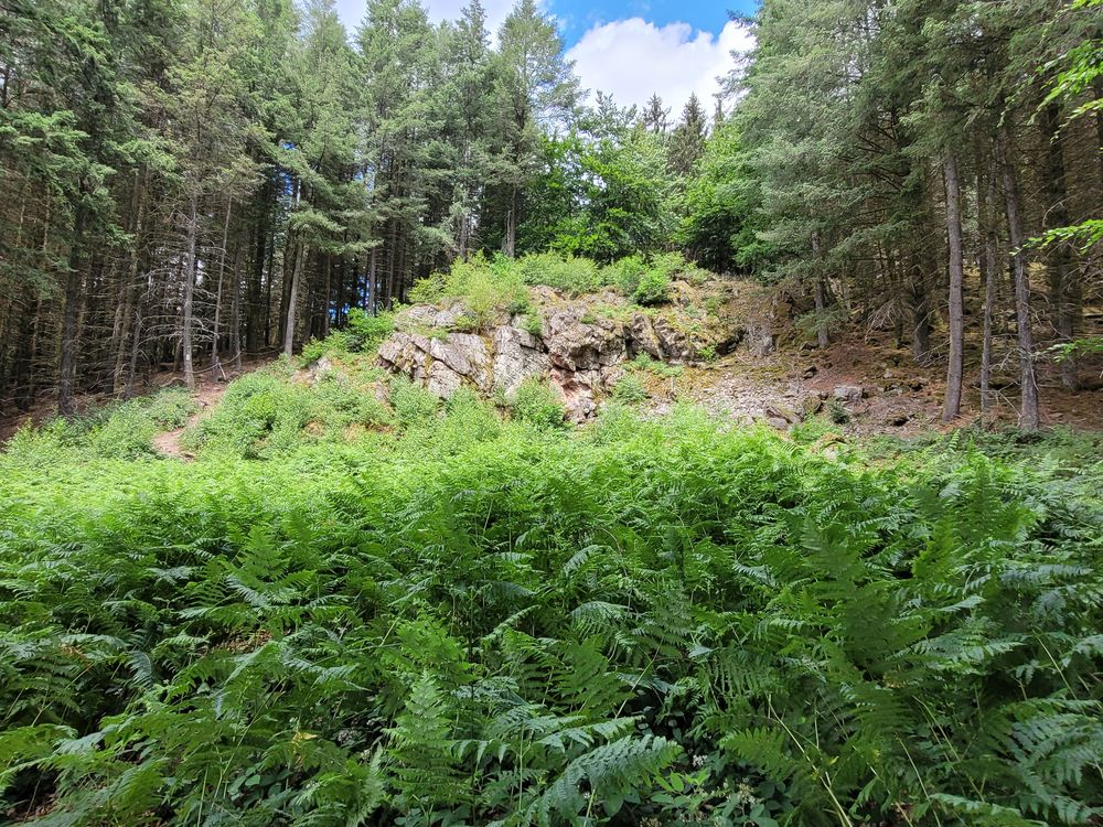 Saar Hunsrück Steig   04