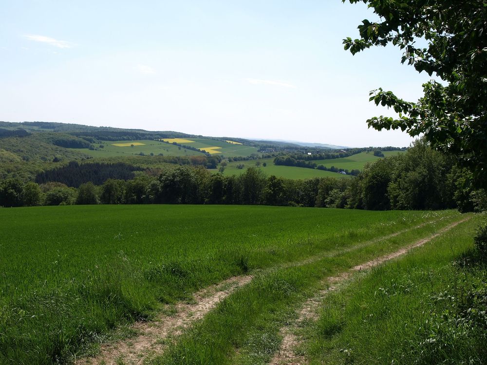Allenfelder Sonnenrunde   Rundwanderweg um die Gemeinde Allenfeld urf2rj