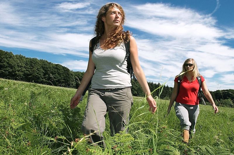 Traumschleife Der Hochwälder w3til4