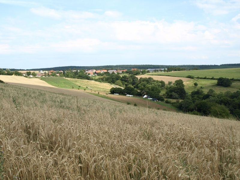 touren/allenfelder-xsonnenrunde-rundwanderweg-um-die-gemeinde-allenfeld-140a