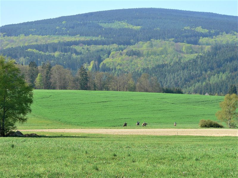 Saar Hunsrück Steig   16