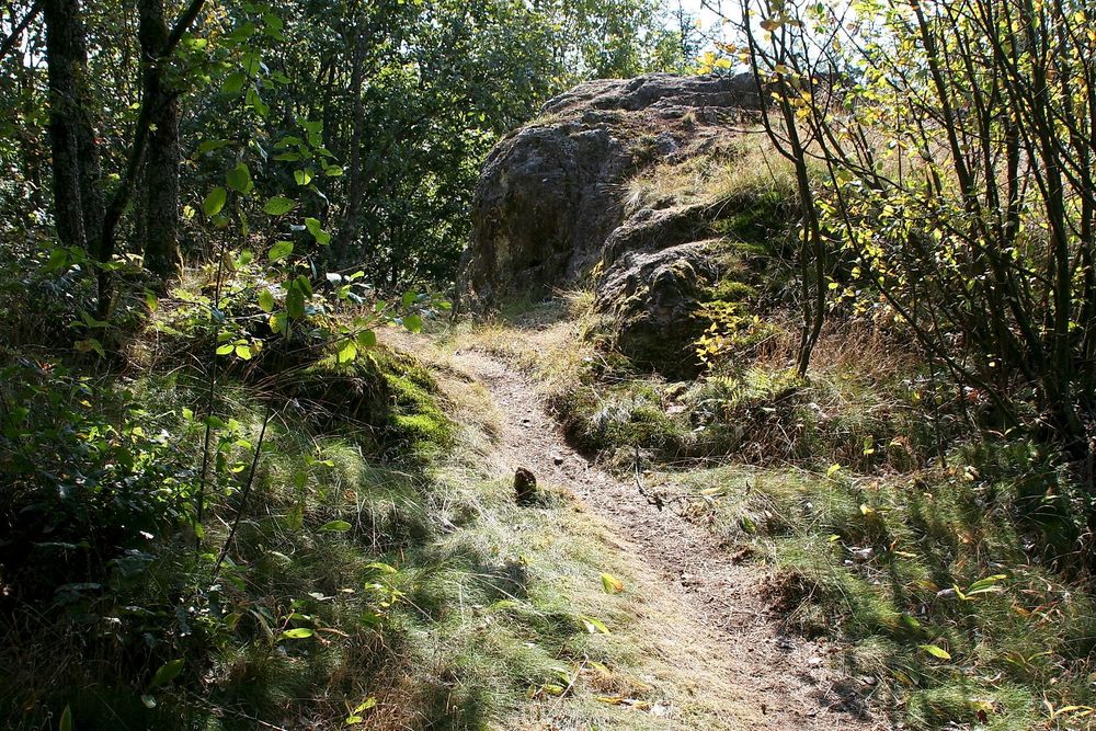 Bärenpfad w0bb9k
