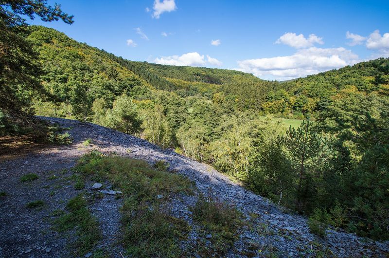 Saar Hunsrück Steig   15