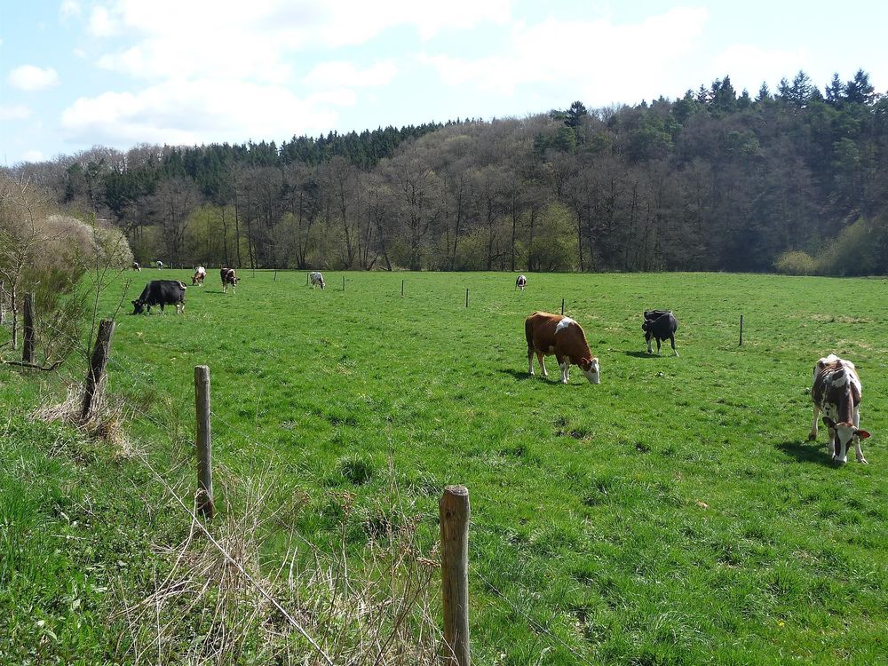 Bachwanderweg un4bg6