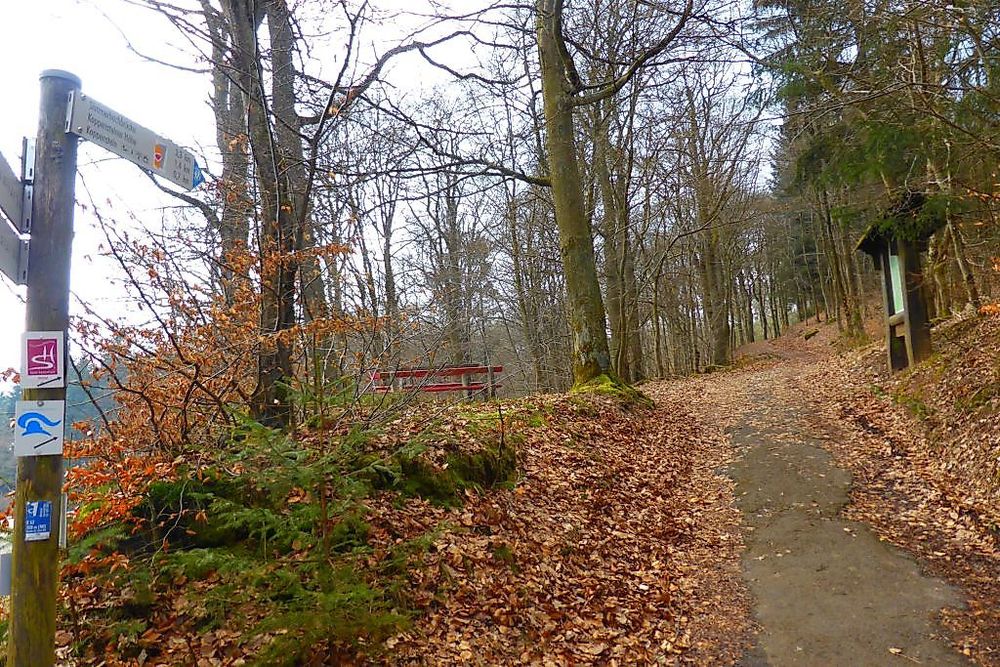 Soonwaldsteig   Zuweg Gemünden 2 uj7oy3