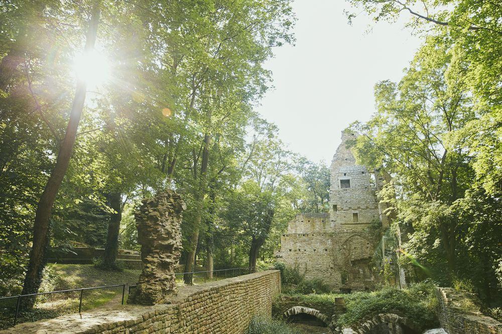 Weinwanderweg Rhein Nahe   Etappe 3: Staudernheim   Niederhausen ufjpcz