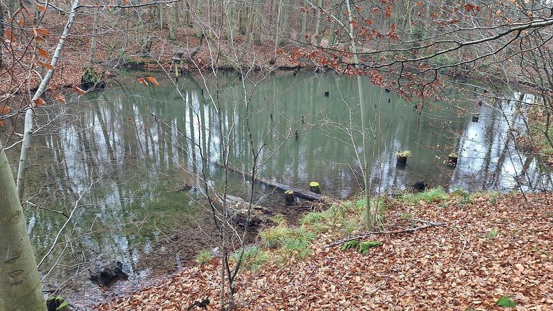 Teich am Kriesbächelche ug105i