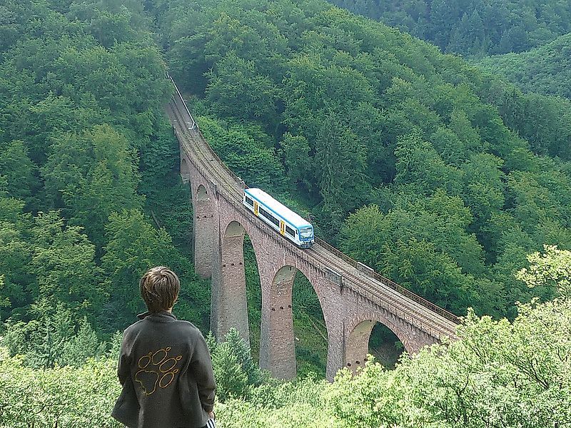 Hunsrückbahnwanderweg   kann zur Zeit wegen der Sperrung der Fussgängerbrücke in Boppard Buchholz nicht mehr begangen werden ucs7qb