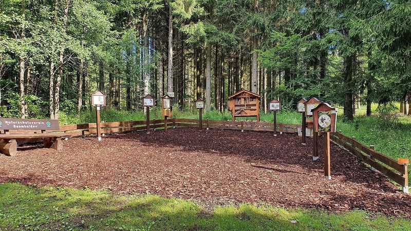 tochten/waldlehrpfad-gaertel-im-xstadtwald-baumholder-78ff